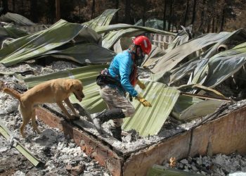 Explainer-What is FEMA, US emergency agency under fire from Trump?